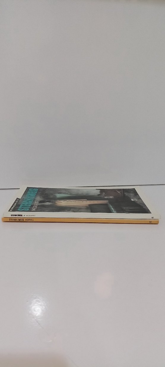 Stefan Zweig Kitap Seti: Korku ve Mecburiyet - Görsel 2