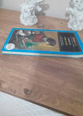 Howard Pyle - Robin Hood Romanı Türkçe - Görsel 4