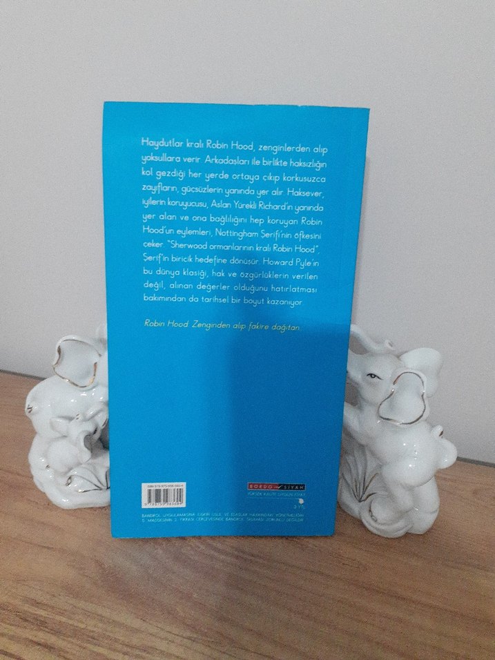 Howard Pyle - Robin Hood Romanı Türkçe - Görsel 2