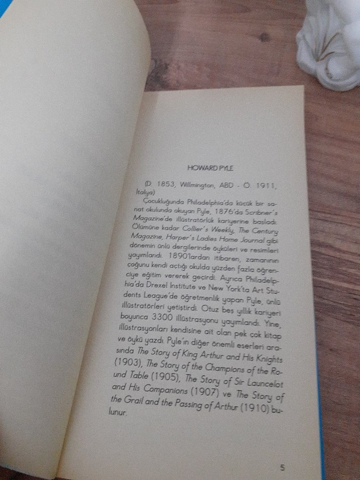 Howard Pyle - Robin Hood Romanı Türkçe - Görsel 3