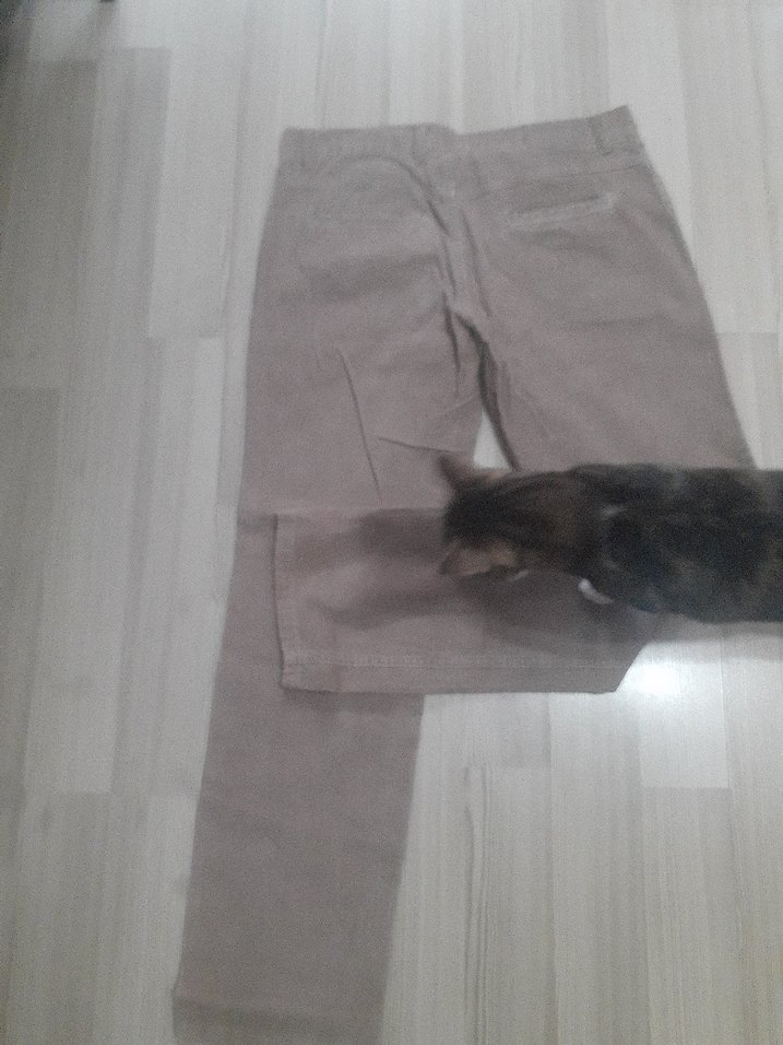 Kemerli Erkek Kahvereng fitillii Rahat Pantolon - Görsel 3