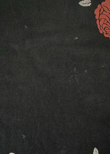 Siyah Baskılı vinatge koleksiyon Tişört - Görsel 4