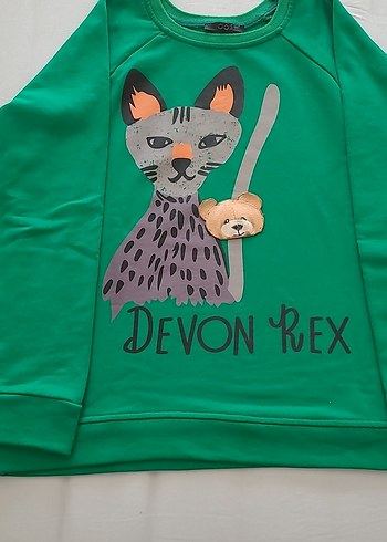 Diğer Baskılı Sweatshirt