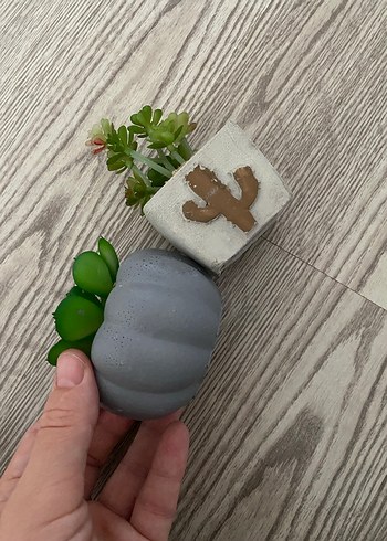 Diğer Saksıda Yapay Sukulent Seti