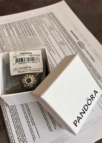 Pandora charm - Görsel 2