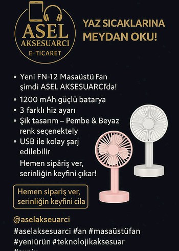 Diger FN-12 Masaüstü Pembe Fan