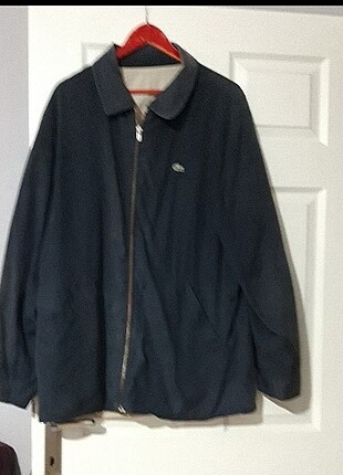 Lacoste ceket 
