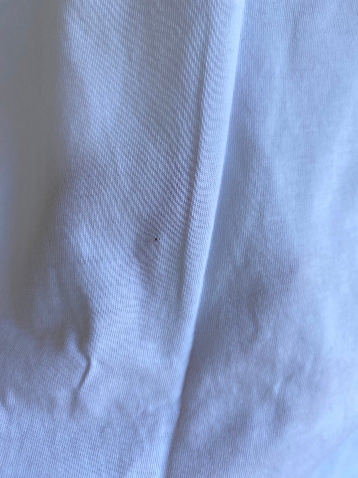 Erkek Beyaz Pamuklu Kısa Kollu Tişört - Görsel 4