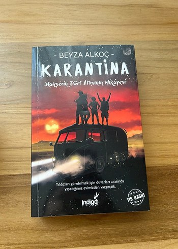 Beyza Alkoç - Karantina Romanı
