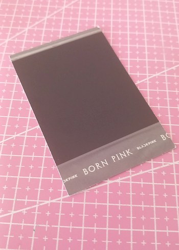 Barbie lisa born pink poloroid