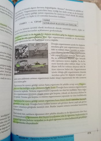 Beden Eğitim Psikolojisi Kitabı