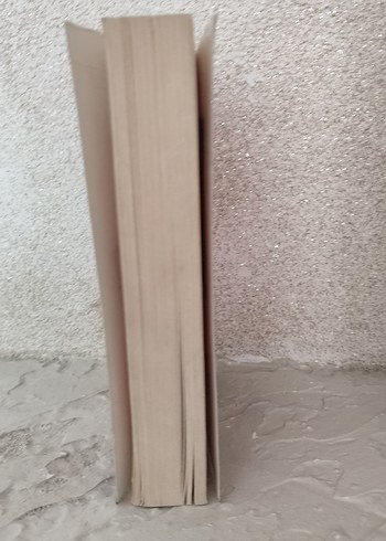 Scarlet ve Ivy: Kayıp İkiz - Sophie Cleverly - Görsel 4