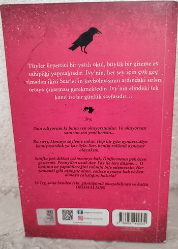 Scarlet ve Ivy: Kayıp İkiz - Sophie Cleverly - Görsel 2