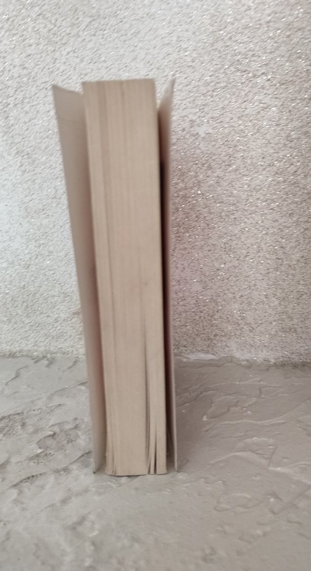 Scarlet ve Ivy: Kayıp İkiz - Sophie Cleverly - Görsel 4