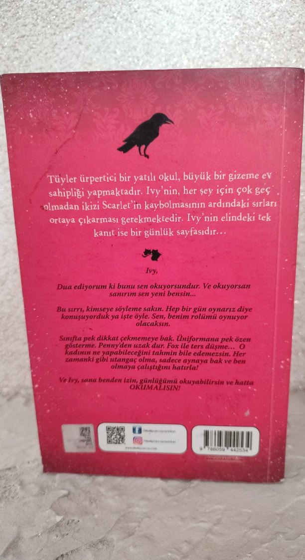 Scarlet ve Ivy: Kayıp İkiz - Sophie Cleverly - Görsel 2