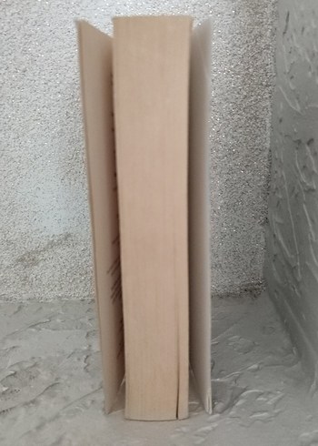 Cerrah - Michael Palmer - Görsel 4