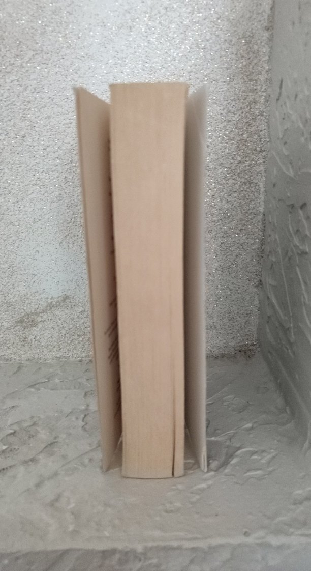 Cerrah - Michael Palmer - Görsel 4