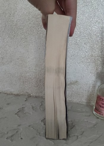 Yeşilin Kızı Anne - L. M. Montgomery - Görsel 4