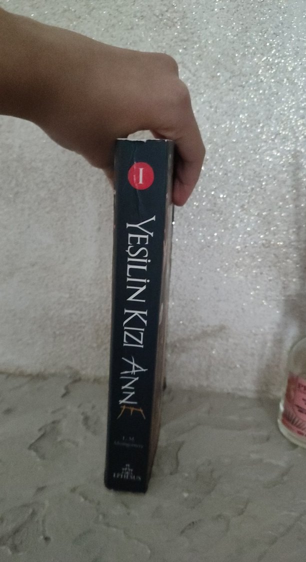 Yeşilin Kızı Anne - L. M. Montgomery - Görsel 3