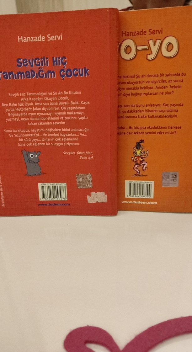 Tudem Çocuk Kitapları: yoyo ve sevgili hiç Tanımadığım Çocuk - Görsel 2