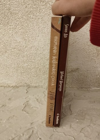 Ormanın Kalbindeki Çocuk ve savaş atı - Görsel 4