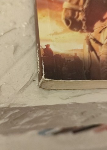 Ormanın Kalbindeki Çocuk ve savaş atı - Görsel 6