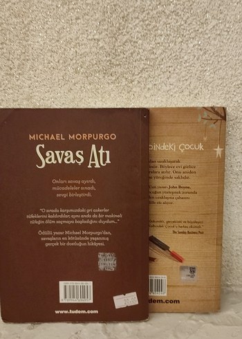 Ormanın Kalbindeki Çocuk ve savaş atı - Görsel 2