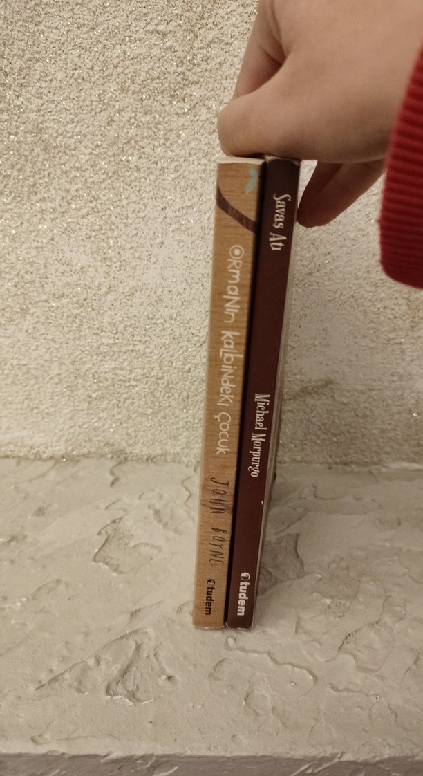 Ormanın Kalbindeki Çocuk ve savaş atı - Görsel 4