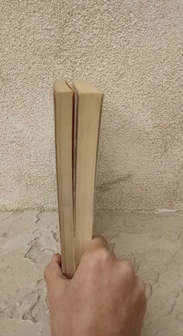 Ormanın Kalbindeki Çocuk ve savaş atı - Görsel 5