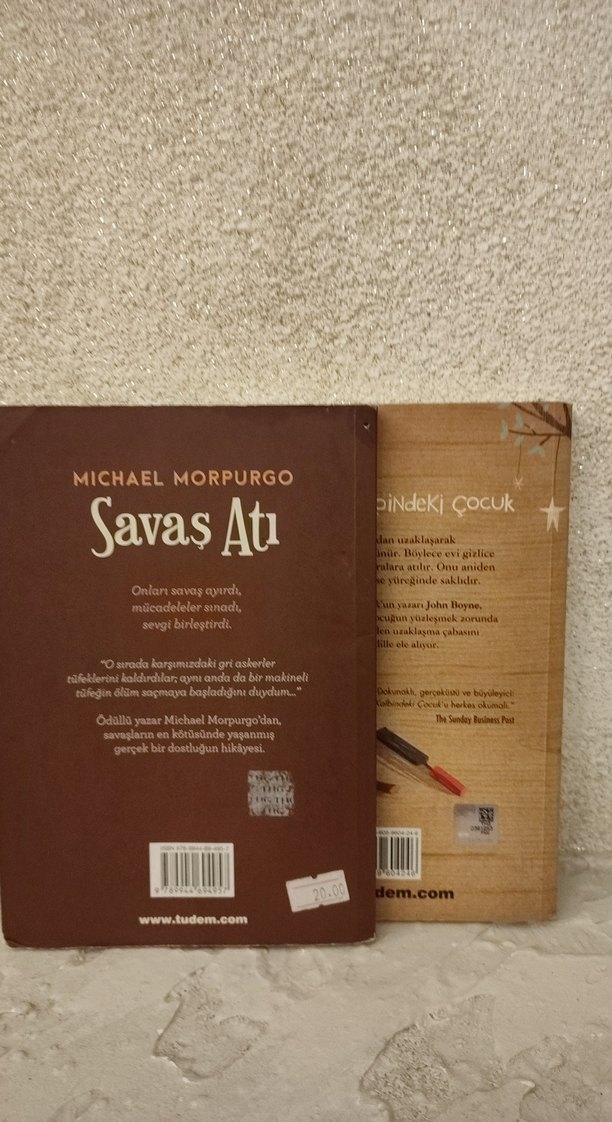 Ormanın Kalbindeki Çocuk ve savaş atı - Görsel 2