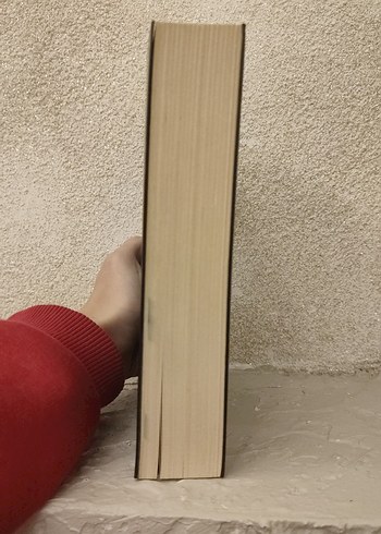 Siyah kuğu - Görsel 4