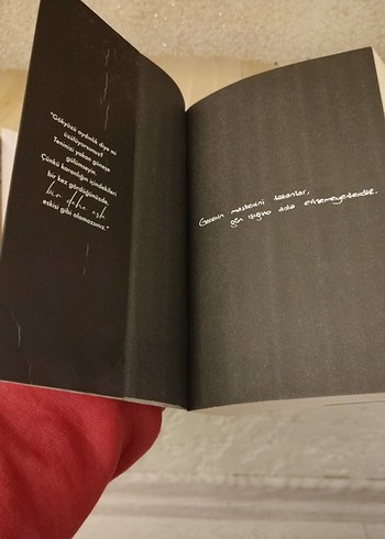 Siyah kuğu - Görsel 5