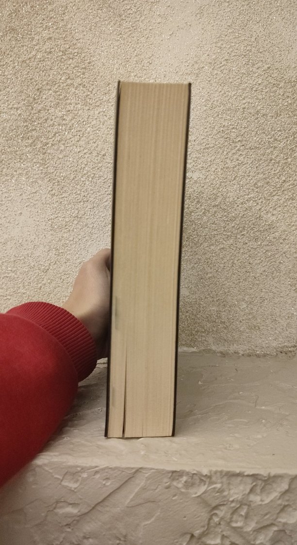 Siyah kuğu - Görsel 4