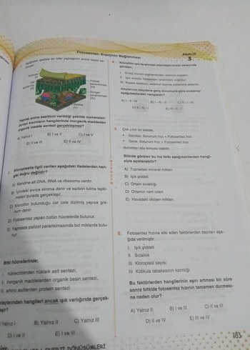 ayt biyotik biyoloji soru Bankası - Görsel 8
