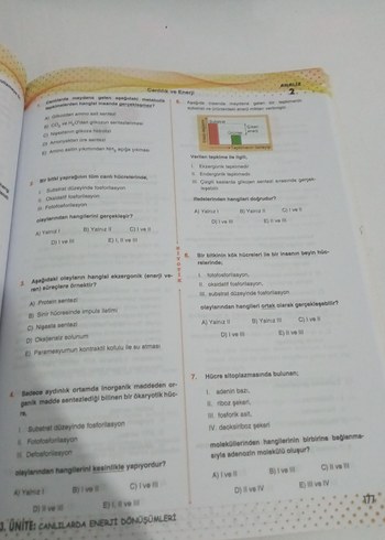 ayt biyotik biyoloji soru Bankası - Görsel 7
