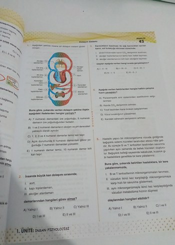 ayt biyotik biyoloji soru Bankası - Görsel 3