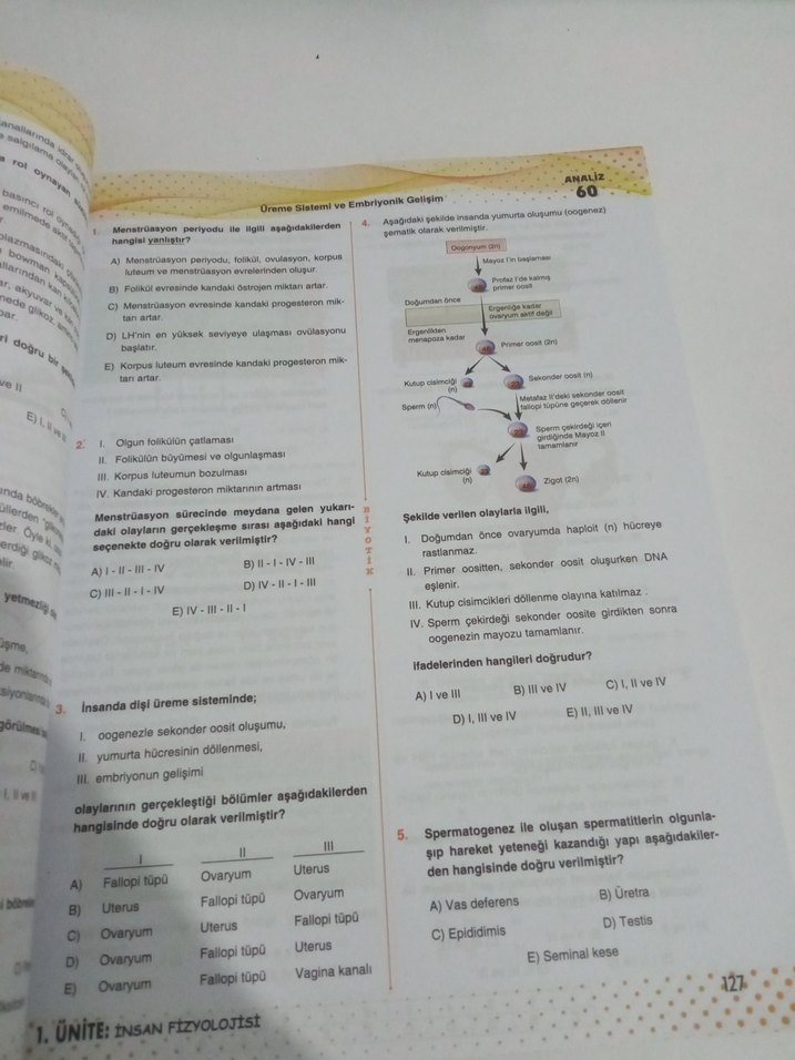 ayt biyotik biyoloji soru Bankası - Görsel 5