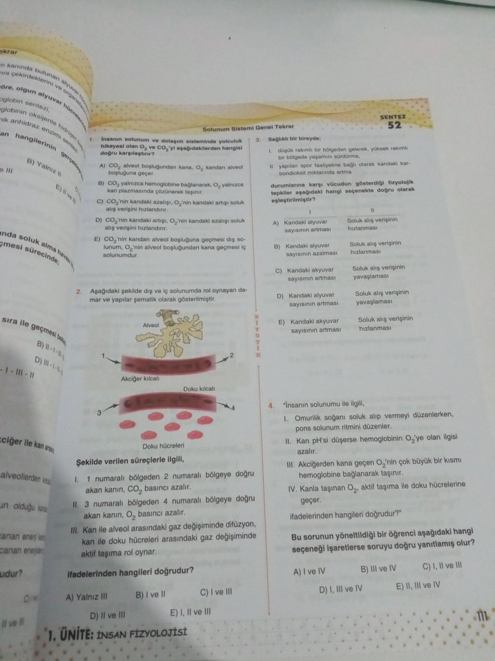 ayt biyotik biyoloji soru Bankası - Görsel 4