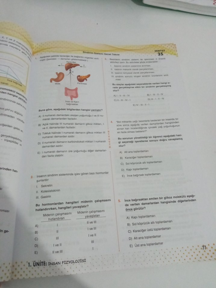 ayt biyotik biyoloji soru Bankası - Görsel 2