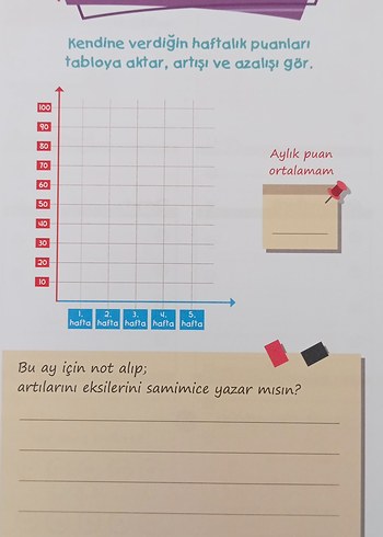 Beden Renk Şenol Hoca Sarı Ders Çalışma Programı Planlayıcı