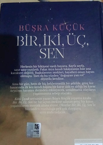 Bir, İki, Üç, Sen Romanı