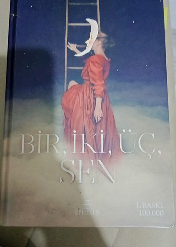 Bir, İki, Üç, Sen Romanı