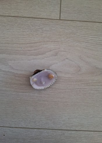 Deniz kabuklu mum - Görsel 4