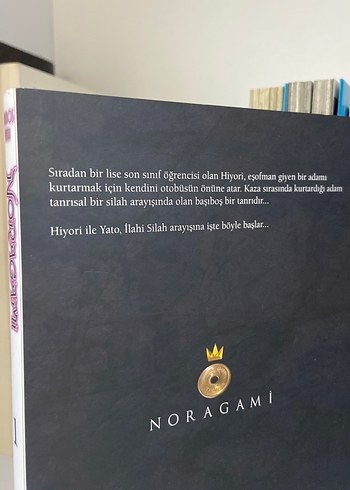 manga Noragami Cilt 1 - Adachitoka - Görsel 2