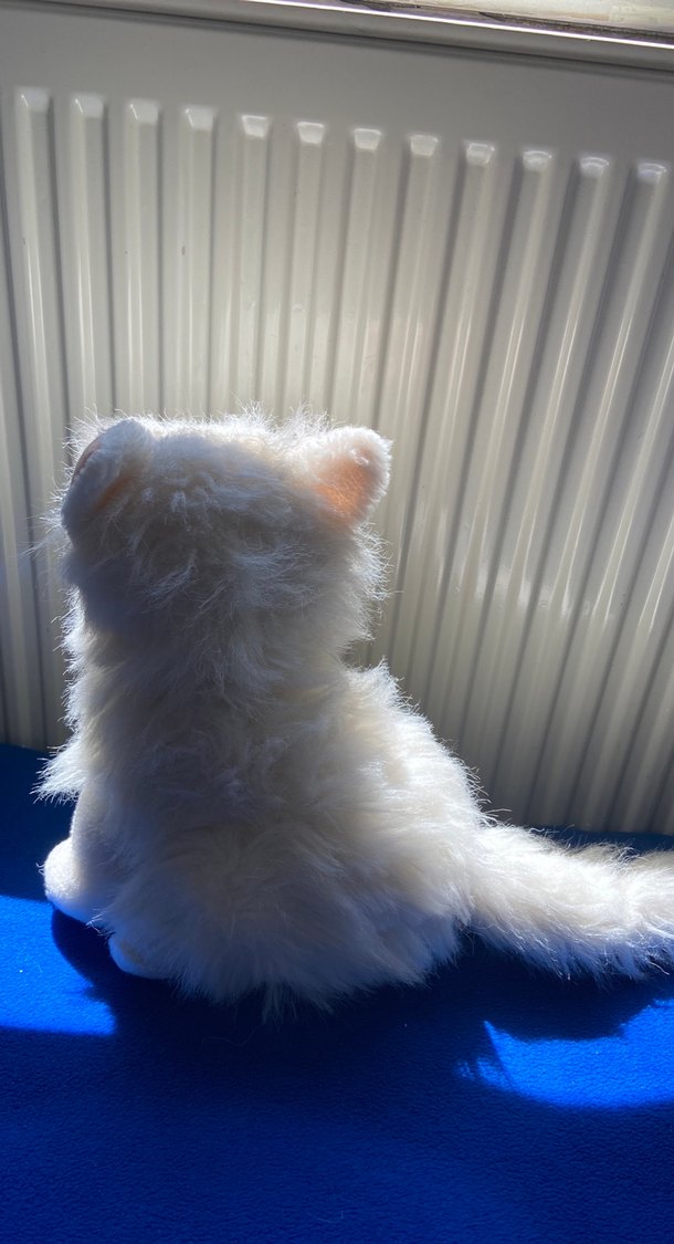 Beyaz Peluş Oyuncak Kedi - Görsel 2