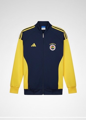 Erkek Sarı Lacivert Fermuarlı Ceket - Görsel 2