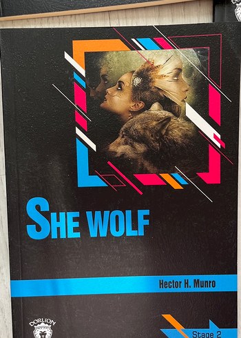 İngilizce Seviyeli Kitaplar - Görsel 11