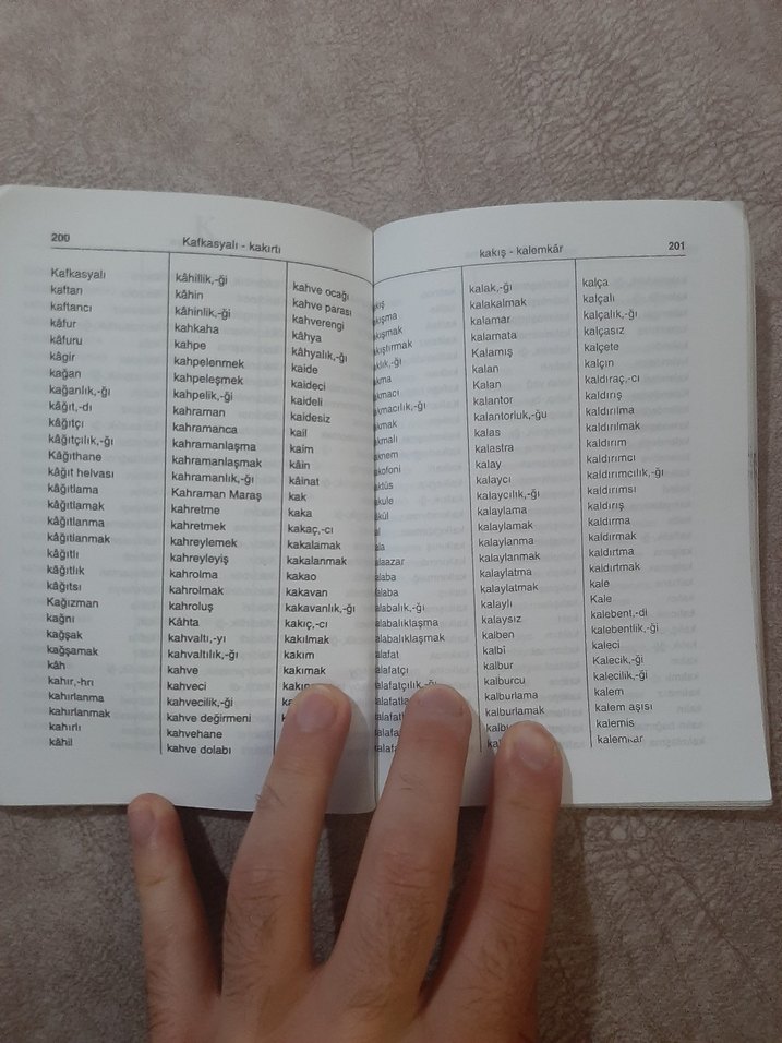 Türkçe Yazım Kılavuzu Kitap - Görsel 5