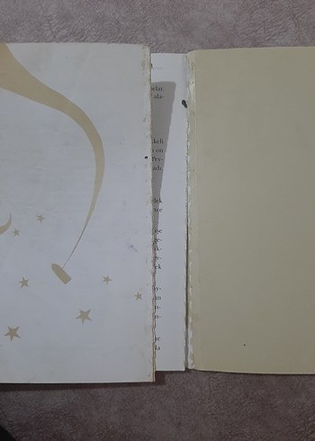 Beden Renk Peygamberimi Öğreniyorum Kitabı