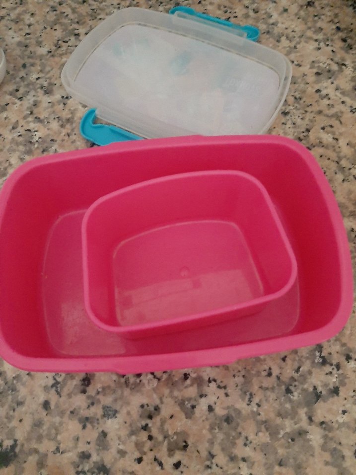 Pembe Winx Desenli Çocuk Beslenme Kabı - Görsel 2